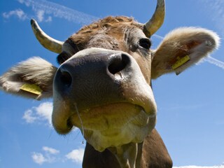 Apartamento de vacaciones Bolsterlang Entorno 16