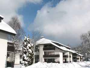 Holiday apartment Christine - Titisee-Neustadt - image1