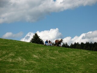 Holiday apartment Titisee-Neustadt Environment 26