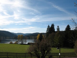 Holiday apartment Titisee-Neustadt Environment 28