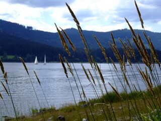 Holiday apartment Titisee-Neustadt Environment 24