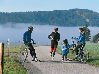 Holiday apartment Titisee-Neustadt Environment 25