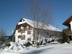 Holiday apartment Haus an der Gutach Nr. 10 - Titisee-Neustadt - image1