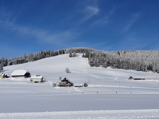 Holiday apartment Titisee-Neustadt Environment 33