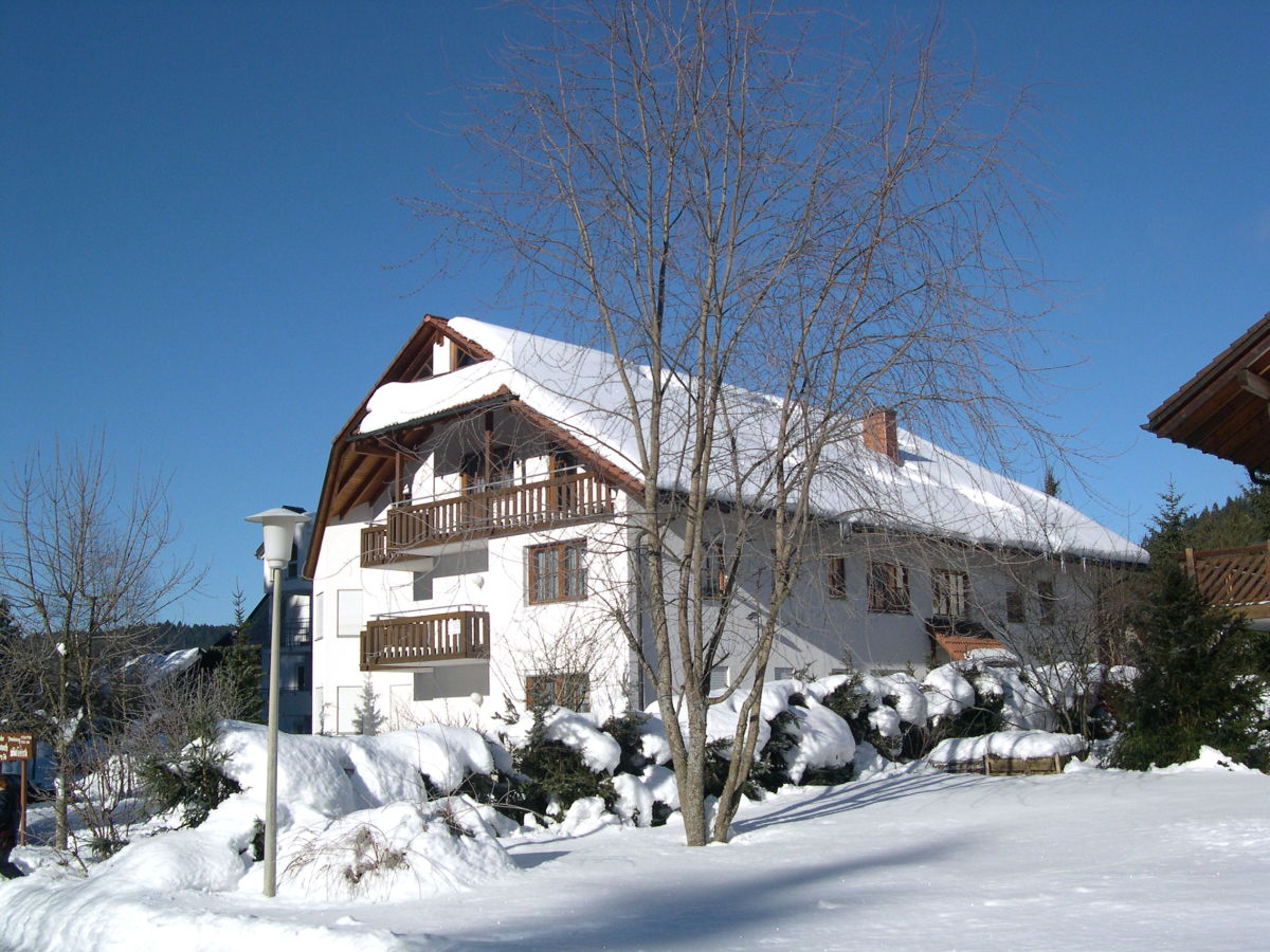 Winter am Titisee