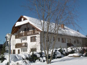 Holiday apartment Haus an der Gutach Nr. 12 - Titisee-Neustadt - image1