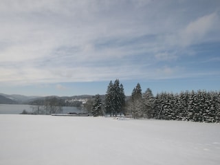 Winter am Titisee