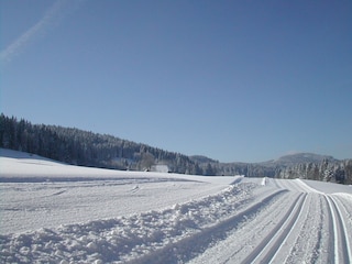 Langlaufen ohne Ende