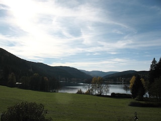 Der Titisee