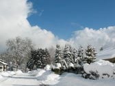 Winter im Kapellenweg