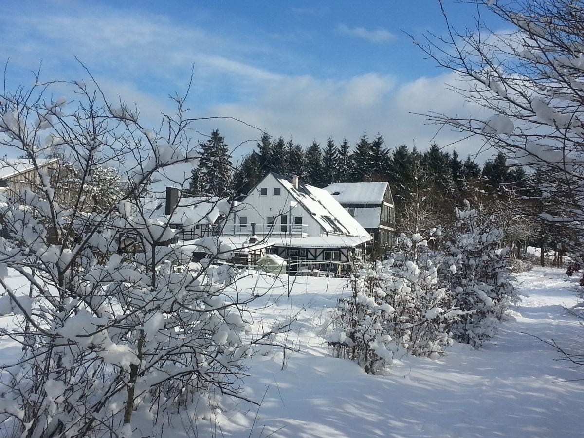 Tannenhof im Winter