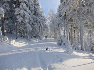 Appartamento per vacanze Mölten Ambiente 26