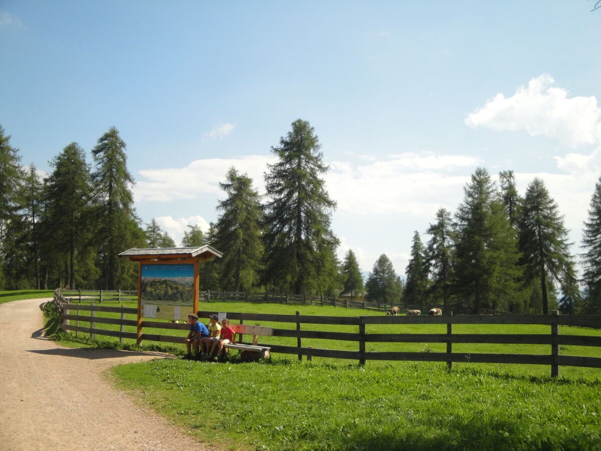 Salten, Wandern, Mölten, Jenesien