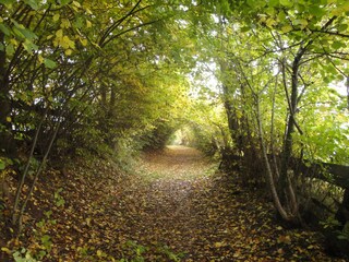 Appartamento per vacanze Mölten Ambiente 33