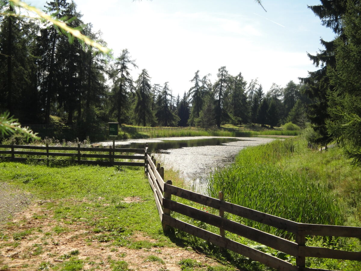 Jenesien, Schermoos, Fahrer Weiher, Mölten