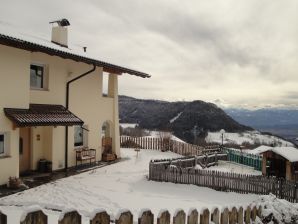 Ferienwohnung im Haus Sonnschein - Mölten - image1