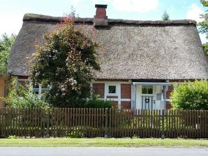 Ferienhaus Kleines Schmuckstück - Drochtersen / Krautsand - image1