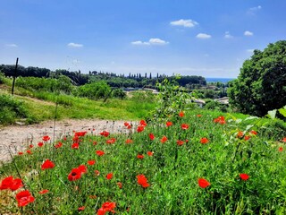 Vakantiehuis Gardasee - Lombardei Buitenaudio-opname 11