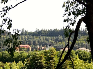 Das gesamte Anwesen "Tenuta Monte Ulivi"