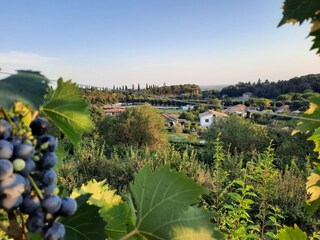Casa per le vacanze Gardasee - Lombardei Registrazione all'aperto 13