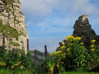 Vakantieappartement Hirschegg im Kleinwalsertal Omgeving 37