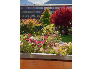 Apartamento de vacaciones Hirschegg im Kleinwalsertal Grabación al aire libre 16