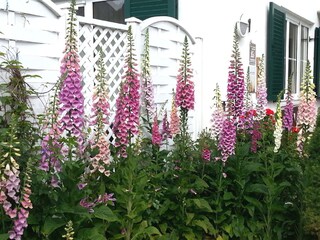 Appartamento per vacanze Hirschegg im Kleinwalsertal Registrazione all'aperto 13