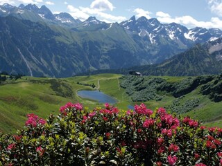 Apartamento de vacaciones Hirschegg im Kleinwalsertal Entorno 34