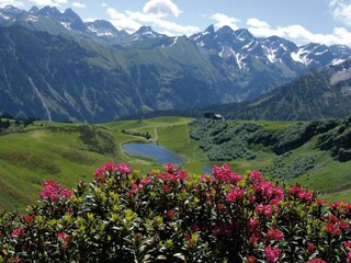 Vakantieappartement Hirschegg im Kleinwalsertal Omgeving 34