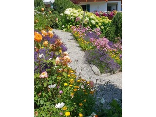 Appartamento per vacanze Hirschegg im Kleinwalsertal Registrazione all'aperto 6