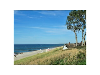 Strand von Ahrenshoop
