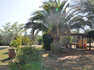 Appartamento per vacanze Larciano Registrazione all'aperto 9