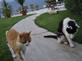 Appartamento per vacanze Lana Registrazione all'aperto 15