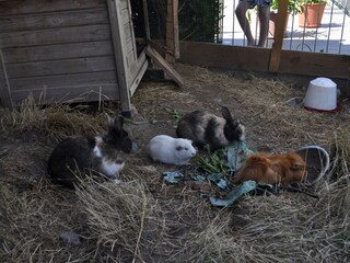 Appartamento per vacanze Lana Registrazione all'aperto 16