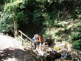 Appartamento per vacanze Lana Ambiente 26