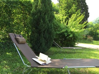 Ein Buch im Schatten der grünen Natur lesen