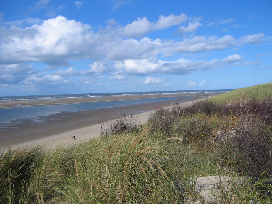 strand und duenen