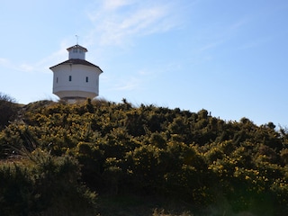 Langeoog im Frühling...