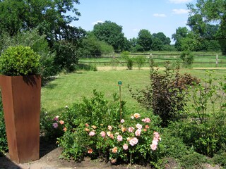 Blick in die Leinewiesen