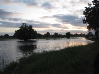 Abendstimmung an der Leine