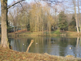 benachbarter Teich