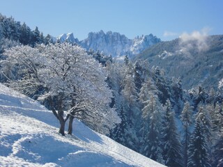 Appartamento per vacanze Völs am Schlern Ambiente 23