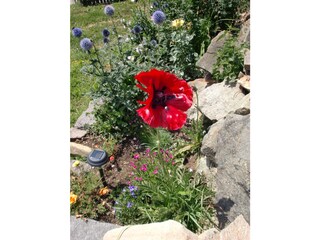 Appartamento per vacanze Völs am Schlern Ambiente 24