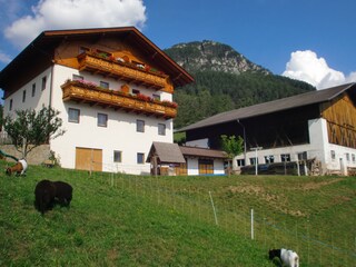 Vakantieappartement Völs am Schlern Buitenaudio-opname 7