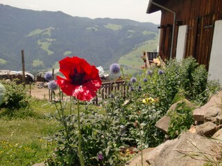 Vakantieappartement Völs am Schlern Buitenaudio-opname 8