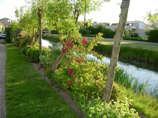 Die Gracht im Frühling
