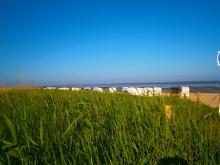 Sahlenburger Strand