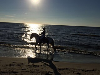 Casa per le vacanze Julianadorp Ambiente 20