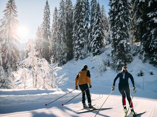 Holiday apartment Riezlern Environment 19