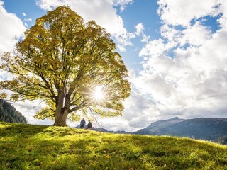 Appartamento per vacanze Riezlern Ambiente 18